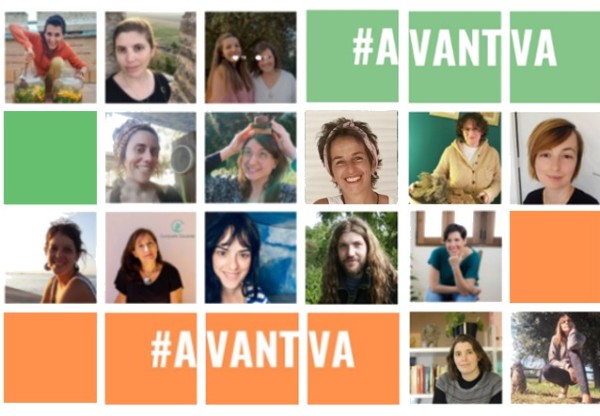 Avantva!'s header image