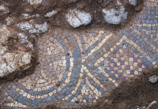 Excavación del Mosaico de La Estaca's header image