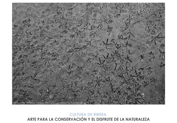 I Jornadas Arte, Ecología y Uso Público de Espacios Naturales Protegidos's header image