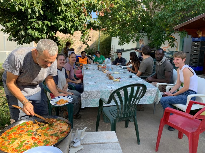 comida-recogida-calabaza.jpeg