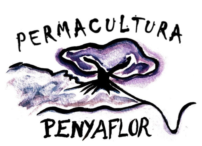 logo-penyaflor-1.jpeg