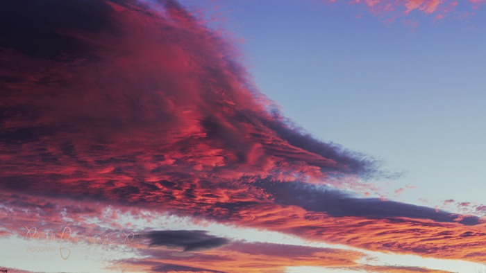 12012017-dsc3007-red..jpg