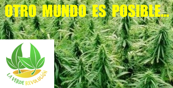 BALANCE A 13 DÍAS DEL FINAL